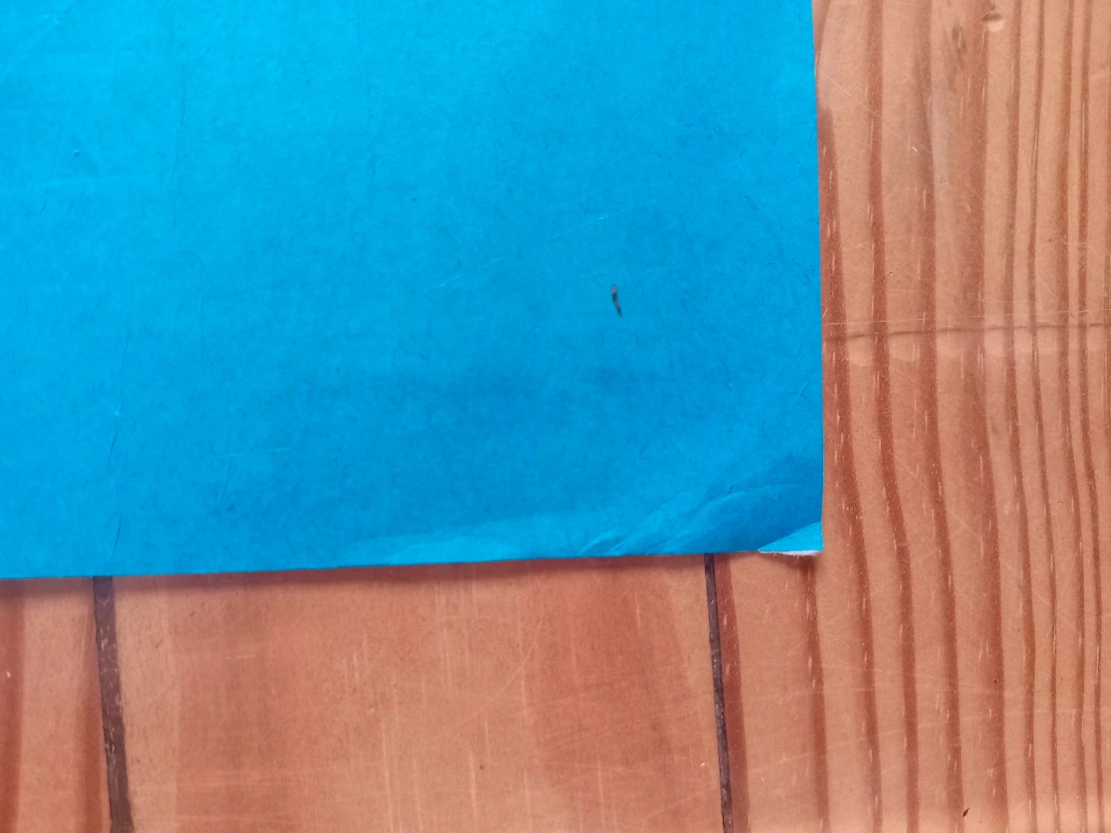 Papier spécial origami XXL – photo 7